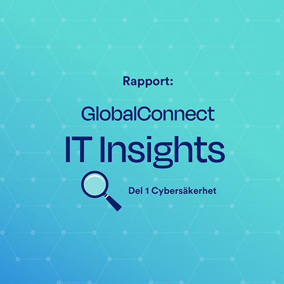 IT Insights 2024 - Security